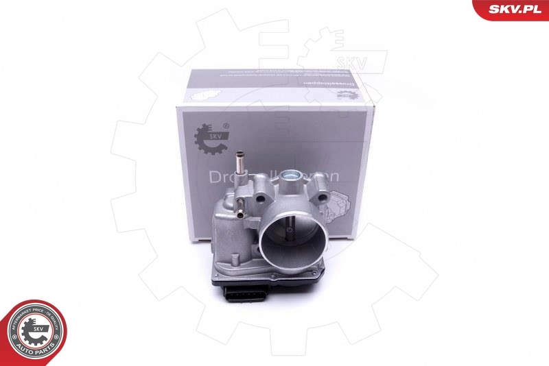 Throttle Body